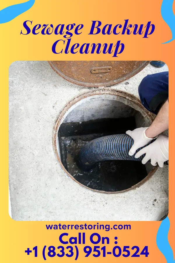 Sewage Backup Cleanup in Burnsville, MS