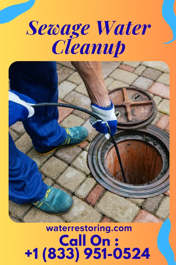 Sewage Water Cleanup in Burnsville, MS